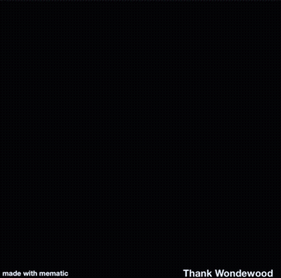 Penguin And Polar Bear On Snowy Iceberg GIF