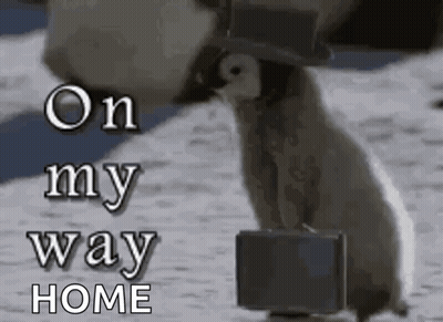 Penguin Carrying Briefcase And Wearing Top Hat GIF