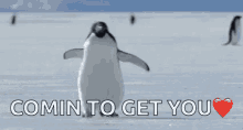 Penguin Coming To Get You GIF