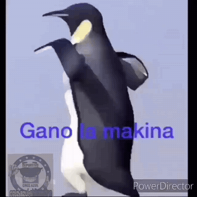 Penguin Dancing Gano La Makina GIF
