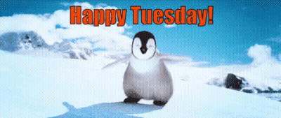 Penguin Dancing In Snow Happy Tuesday GIF