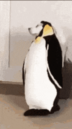 Penguin Dog GIF