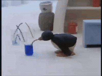 Penguin Drinking From Blue Glass GIF