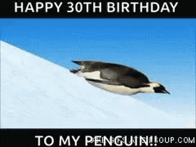 Penguin Flying Over Snowy Hill Saying Happy 30Th Birthday GIF