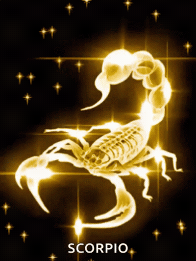 Penguin Holding Cell Phone Scorpio October 23 November 22 GIF