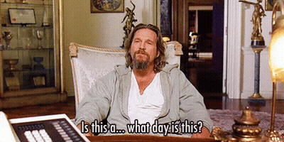 Penguin Holding Lemon Says When Life Gives You Lemons GIF