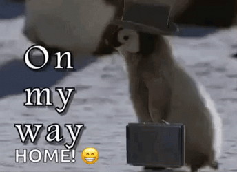 Penguin Im Going Home GIF