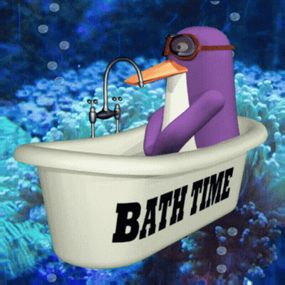 Penguin In Bath Tub Saying Bath Time GIF