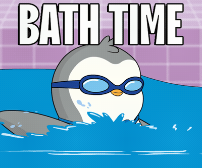 Penguin In Goggles Swimming Bath Time GIF