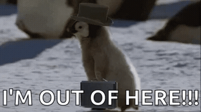 Penguin in Hat Carrying Briefcase Walking in Snow
