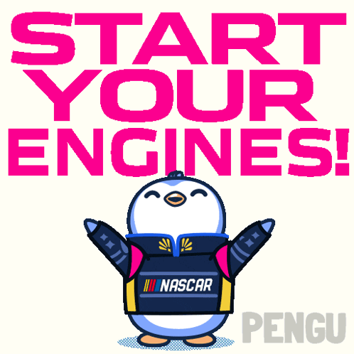 Penguin In Nascar Jacket In Front Of Start GIF