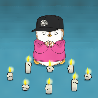 Penguin In Pink Hoodie And The North Face Hat GIF