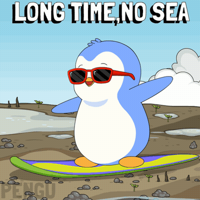Penguin In Red Sunglasses Riding Surfboard Long Time No Sea GIF