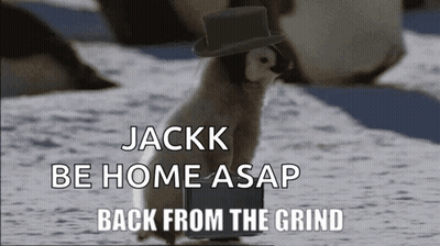 Penguin In Top Hat Carrying Laptop GIF