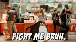 Penguin Let Them Fight Me Bro GIF