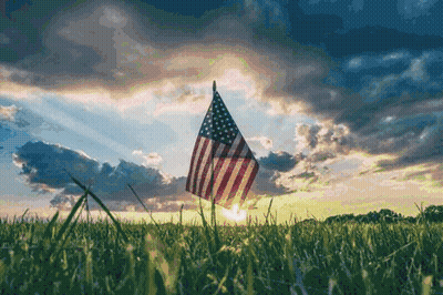 Penguin Military Hat Salutes American Flag Veterans Day GIF