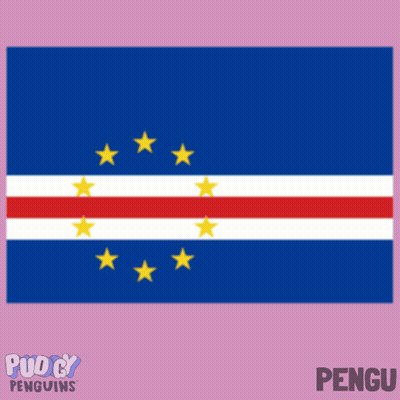 Penguin Next To Soccer Ball With Penguins Flag GIF