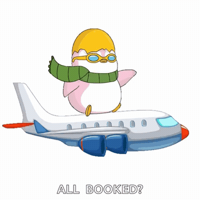 Penguin On Airplane Saying All Booked GIF