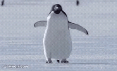 Penguin On Snow Covered Surface GIF
