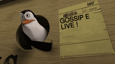 Penguin Peeking From Hole With Gossip E Live GIF