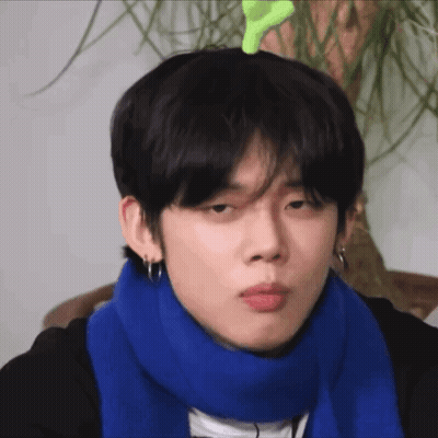 Penguin Peeking Out Of Hole Saying Has Anyone Seen My Penguin GIF