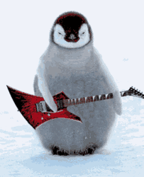 Penguin Playing Guitar GIF
