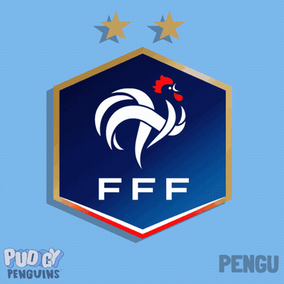 Penguin Playing Soccer With FFF Logo GIF