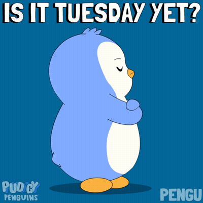 Penguin Saying Is It Tuesday Yet