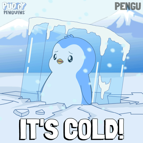 Penguin Saying It's Cold GIF