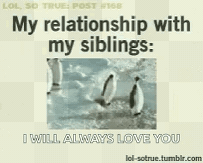 Penguin Saying My Relationship With My Siblings I Will Always Love You GIF