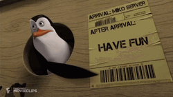 Penguin Show Have Fun Message GIF