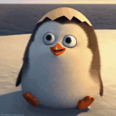 Penguin Sitting On Beach With Egg Shell GIF
