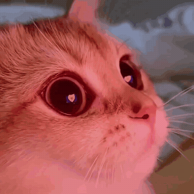 Penguin Sitting On Heart Saying I Miss You GIF
