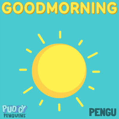 Penguin Sitting On Sun Good Morning GIF