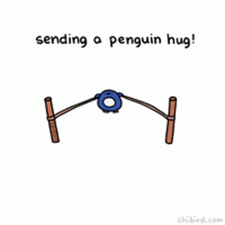 Penguin Sling Shot Sending You A Hug  GIF