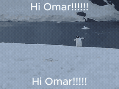 Penguin Standing In Snow Saying Hi Omar GIF