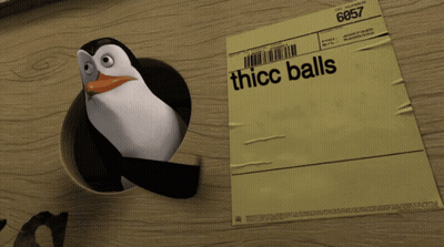 Penguin Sticking Head Out Of Hole Next To Thicc Balls Package GIF