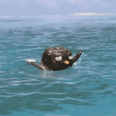 Penguin Swimming With Head Underwater GIF