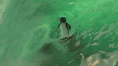 Penguin Swimming With Long Tail And Open Mouth GIF