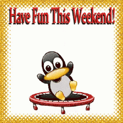 Penguin Trampoline Fun Weekend GIF