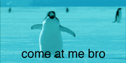 Penguin Waddles Come Bro GIF