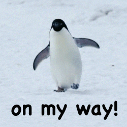 Penguin Waddles On My Way