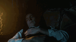 Penguin Waking Up GIF