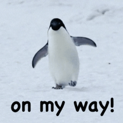 Penguin Walking In Snow On My Way GIF