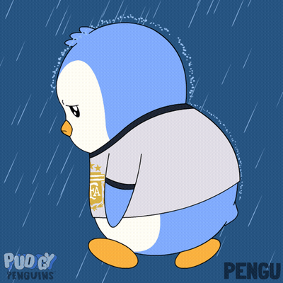 Penguin Wearing Argentina Shirt Walking In Rain GIF