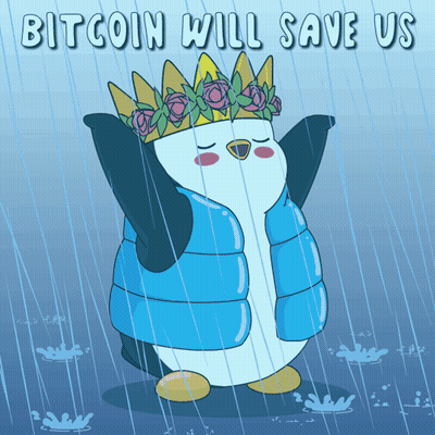 Penguin Wearing Crown In Rain Saying Bitcoin Will Save Us GIF