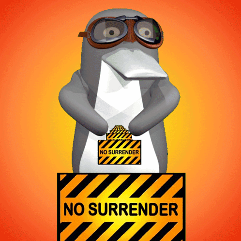 Penguin Wearing Goggles Next To No Surrender Sign GIF