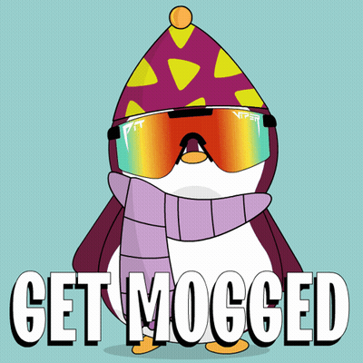 Penguin Wearing Hat And Scarf Get Mogged GIF