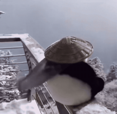 Penguin Wearing Hat On Snowy Balcony GIF