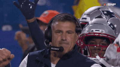Penguin Wearing Patriots Helmet On Field GIF